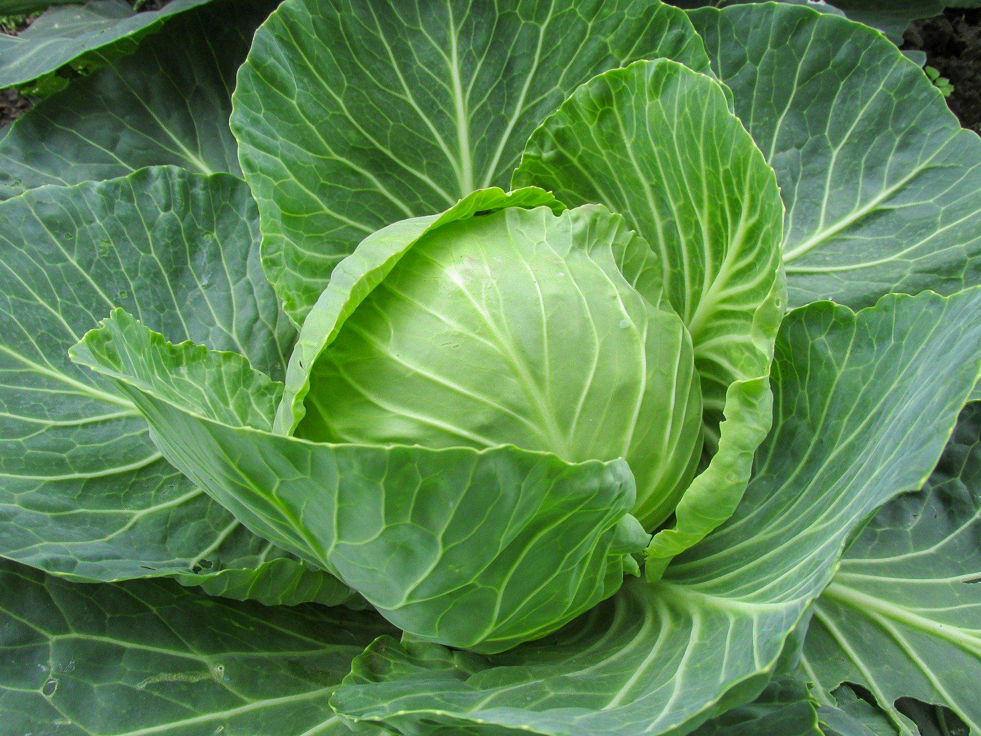 Result Image